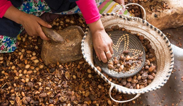 Argan oil making